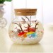 Led Submarine Micro-Landscape Ornament DIY Eco-Bottle Colours Light