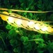 Led Solar Powered Wheat Spike Outdoor Waterproof Decoration Garden Street Light