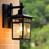 euroliteLED Black Outdoor Wall Sconce Wall Mounted Light Single Light Exterior Wall Lantern with Clear Glass