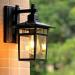 euroliteLED Black Outdoor Wall Sconce Wall Mounted Light Single Light Exterior Wall Lantern with Clear Glass
