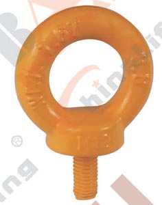 G80 EYE SCREW 25866 25867 25868 25869 25870