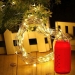 Led Outdoor Waterproof Salt Water Power Generation String Cylinder Box 10 M Spherical 100leds Decoration Night Light