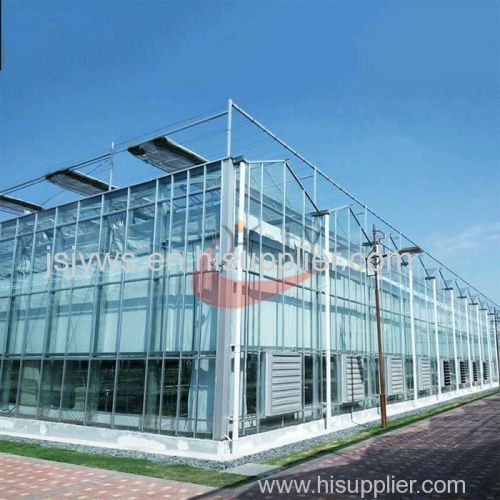 Commercial Agricultural Glass Greenhouse for Flower and Vegetables Glass Greenhouse