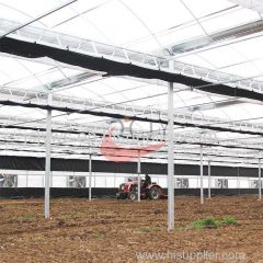 Agriculture Plastic Large Multi Span Greenhouse for Sale Plastic Film Multi-Span Greenhouses