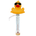 Floating Pool Thermometer