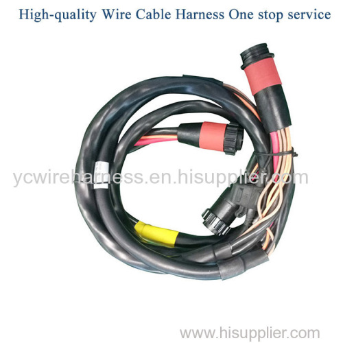 Custom Wire Harness and Cable Assembly