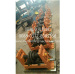 YC Changeable Metal Profile Roll Forming Machine