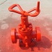 API 6A M Type Expanding Gate Valve for Wellhead Xmas Tree & Manifold