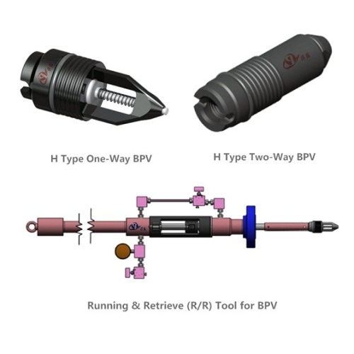 Cameron Type H One-Way & Two-Way Back Pressure Valve