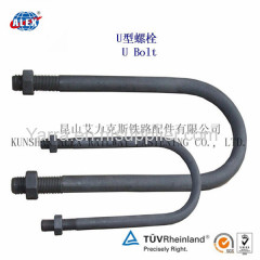 Stainless Steel DIN U-Bolt/Customized Rail Anchor Bolt with Nut