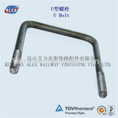 Stainless Steel DIN U-Bolt/Customized Rail Anchor Bolt with Nut