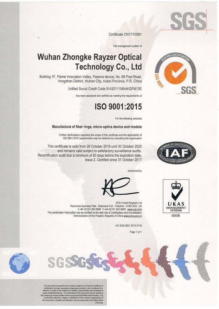 ISO9001:2015 Rayzer's Certificate