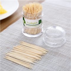 Cheap Chinese plastic container making machine bamboo toothpick