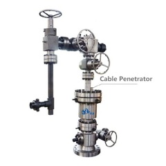 ESP Wellhead Assembly & Christmas Tree