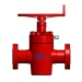 Cameron FLS Slab Gate Valve