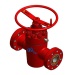 Cameron FLS Slab Gate Valve