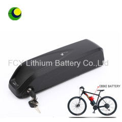 Hailong Li Ion 36V Electric Bike Battery 8.8ah with Samsung cell