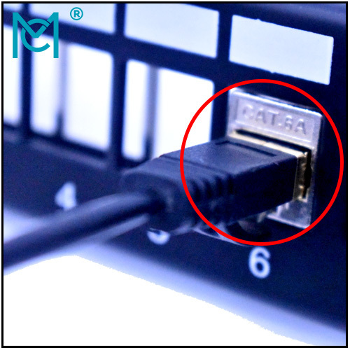 Cat 6A Ethernet Cable Shielded 32AWG Lastest FTP Patch Cord