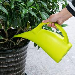 Indoor Mini Plastic Watering Can