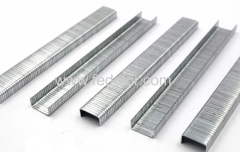 Fine Wire Staple series