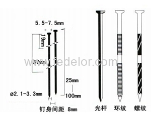 Coil nail with screw shank