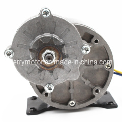 200W 250W 300W PMDC Worm Gear Motor for Park Train