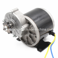 12V 24V 200W 250W 300W 101mm Small DC Motor with Pulley