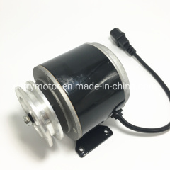 12V 24V 200W 250W 300W 101mm Small DC Motor with Pulley