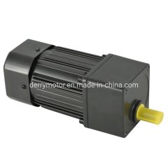 40W 110V 220V 380V Induction AC Gear Motor