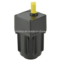 40W 110V 220V 380V Induction AC Gear Motor