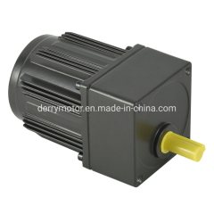 6W 110V 220V Induction AC Geared Motor