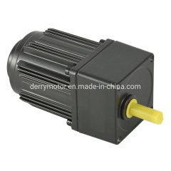 6W 110V 220V Induction AC Geared Motor