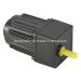 25W 110V 220V 380V Induction AC Gear Motor