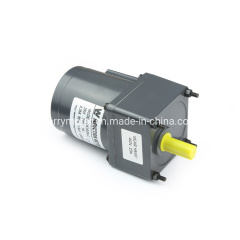 6W 110V 220V Induction AC Geared Motor