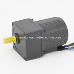 6W 110V 220V Induction AC Geared Motor