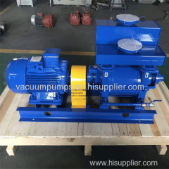 2BV Liquid ring vacuum pump