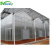 Polycarbonate Venlo Sheer Cover Greenhouse