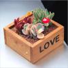 Square Succulent Wood Planter Box