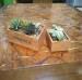 Square Succulent Wood Planter Box