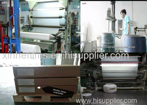 Cold/Hot Peel Glossy/Matte Heat Transfer Pet Film Sheet and Roll at Competitive Prices From Best China Factory Suppliers