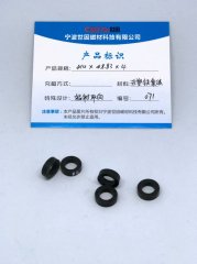 PA12 ferrite plastic magnet assembly