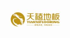 Shandong Tianxi New Material Co Ltd
