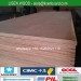 Keruing/Apitong Marine Plywood Floorboard for Cargo Shipping Container Repair