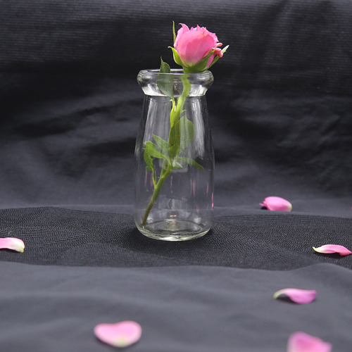 Single Flower Vase For Cafe & Bar