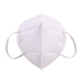 Disposable Non Woven N95 Face Mask