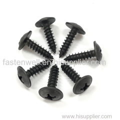 Self tapping screws Manufacturer