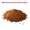 Organic Water Soluble Granular Cocoly Fertilizer