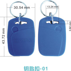 RFID Keyfobs 20 20