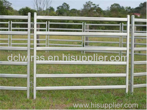 Cattle Panel for sale