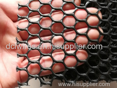 Extruded Plastic Mesh sale